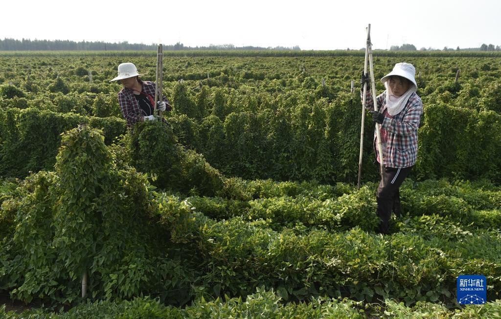 澳利国际下载